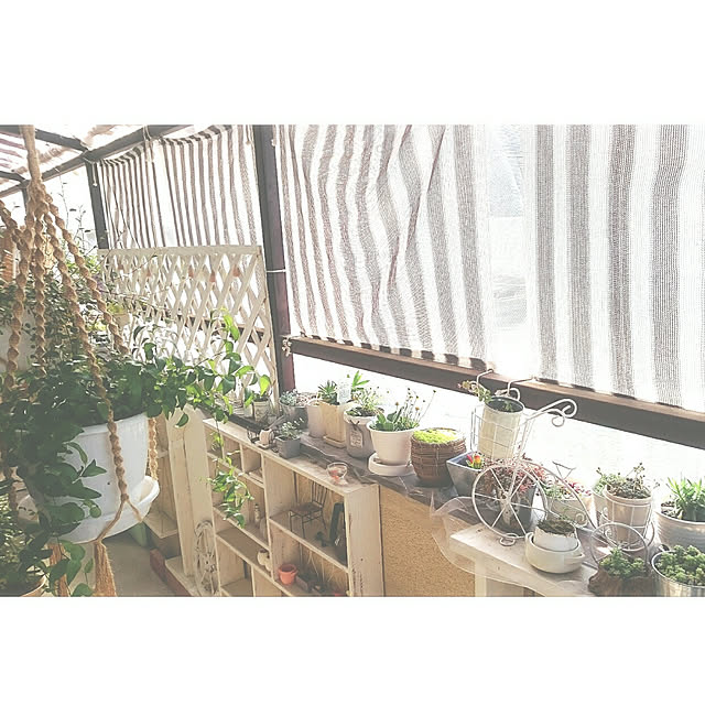 miho.okuさんの実例写真