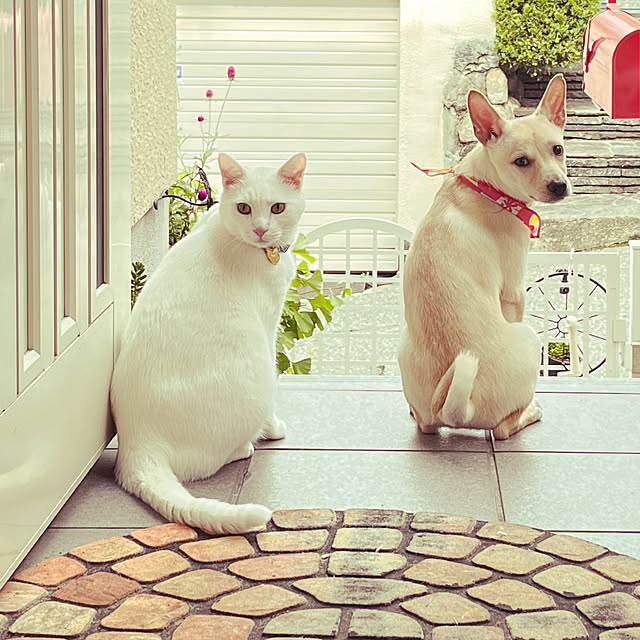 moyuhiさんの実例写真