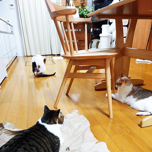 nachiさんの実例写真