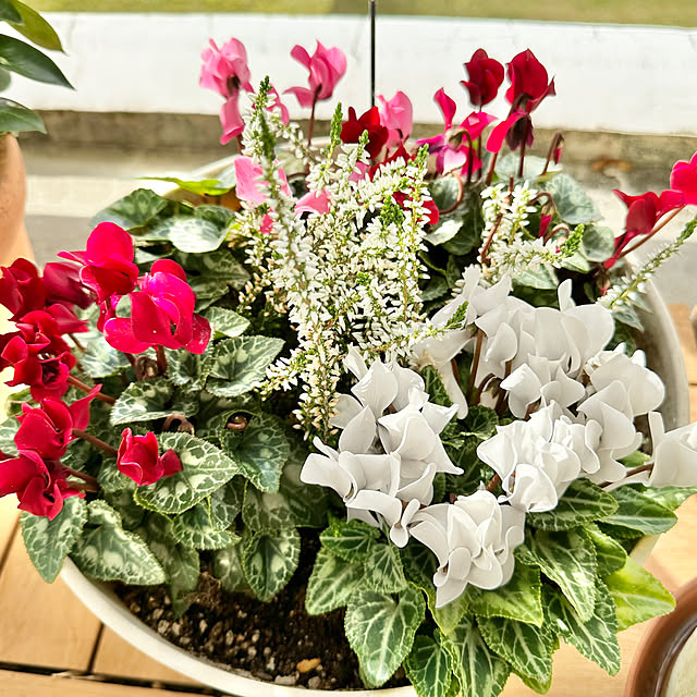 miyumiyuさんの部屋