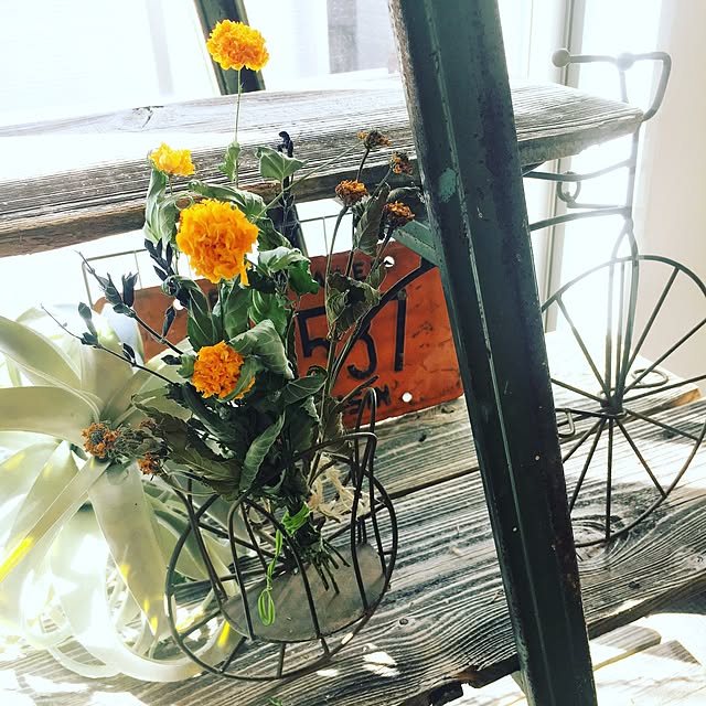 cocco0505さんの実例写真