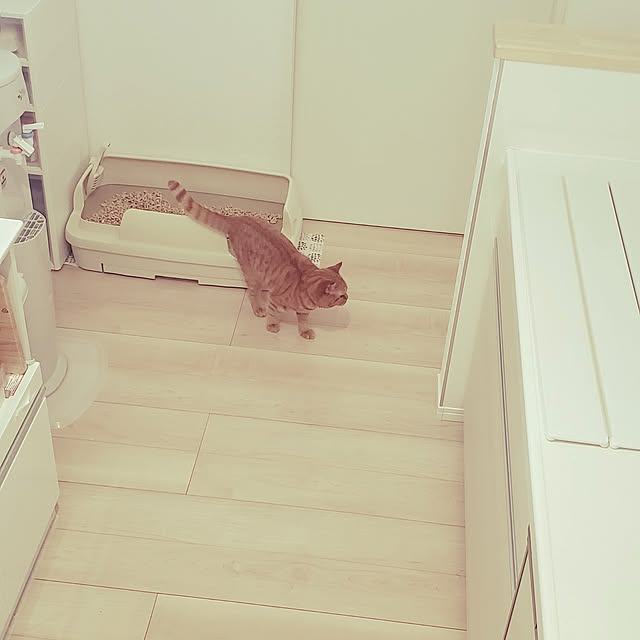 asahinaさんの実例写真