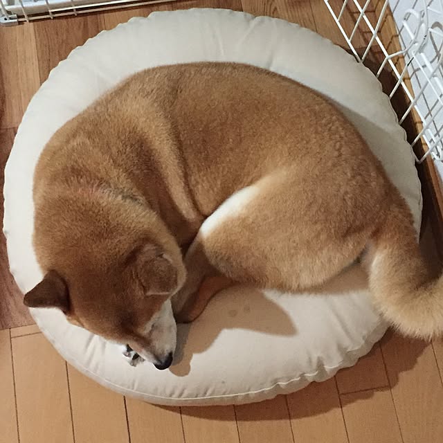 shizu2380さんの実例写真