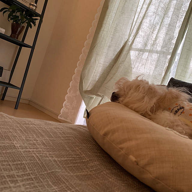 yamayuzu0624さんの実例写真