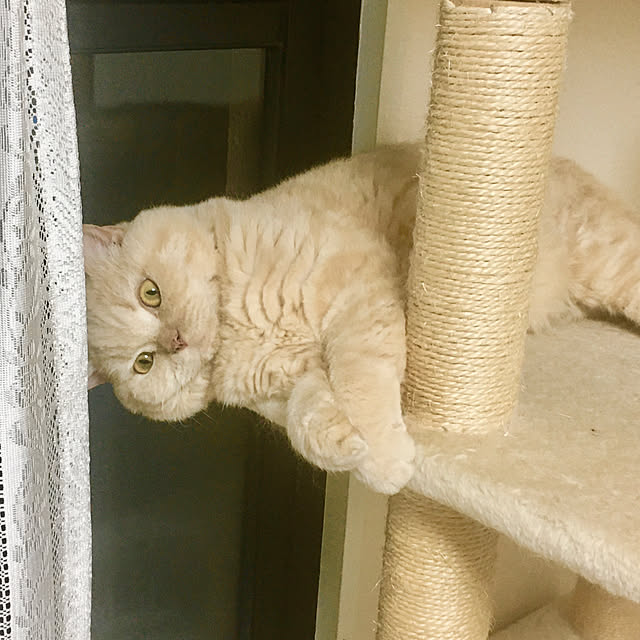 naokoさんの部屋