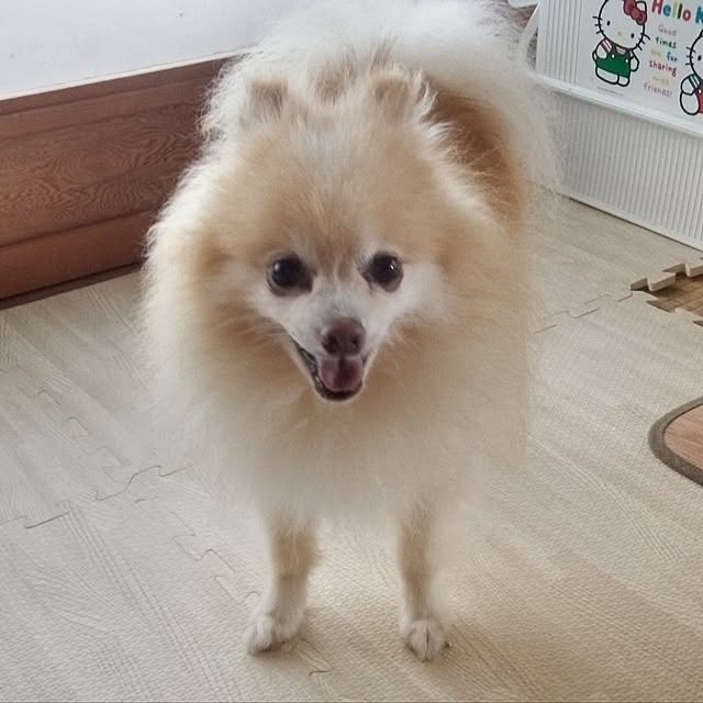 happyさんの部屋