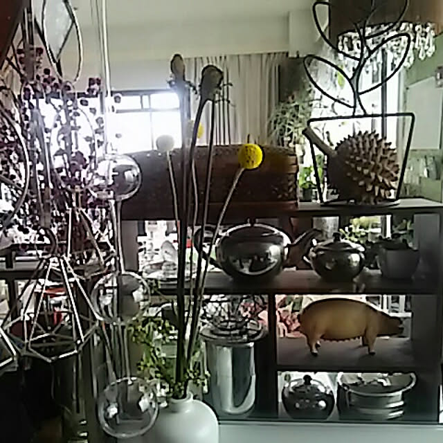 spinetailさんの実例写真