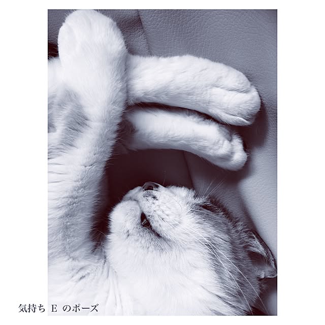 manatomoさんの実例写真