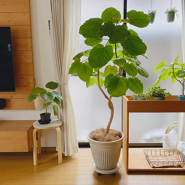 yukaさんの部屋