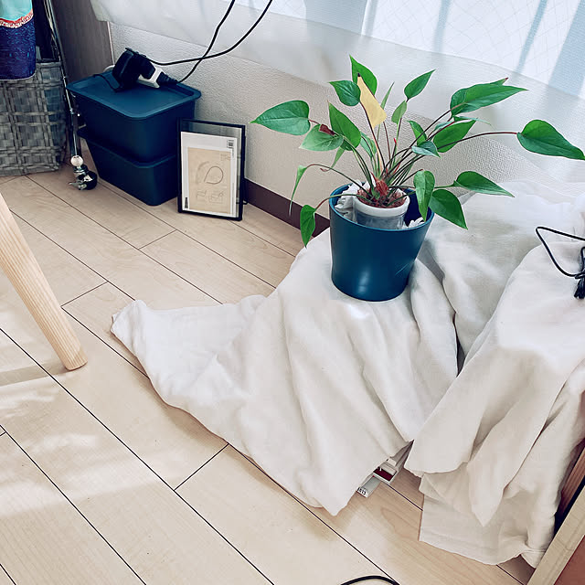 banriさんの実例写真