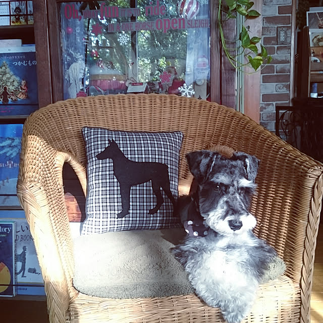 asaさんの実例写真