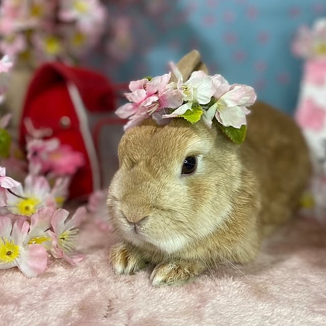 aiさんの部屋