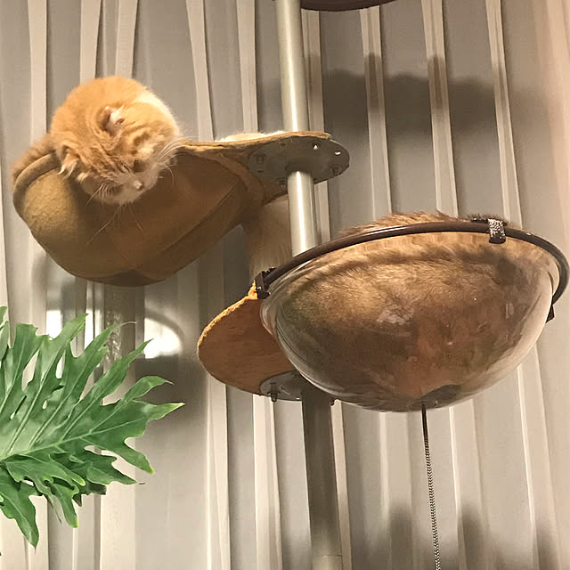 simsuさんの実例写真