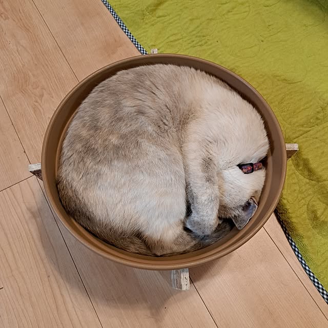 kiyohima229さんの実例写真