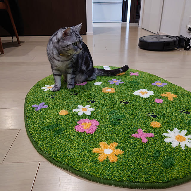 NANACOCOさんの実例写真