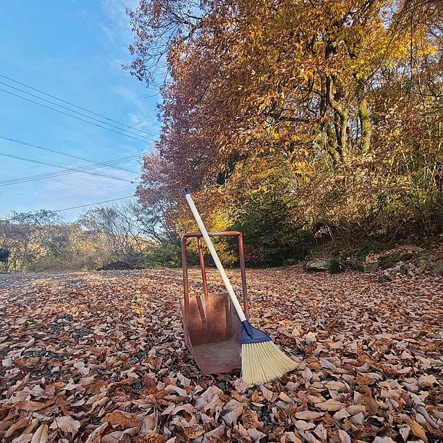 Rubiconさんの部屋