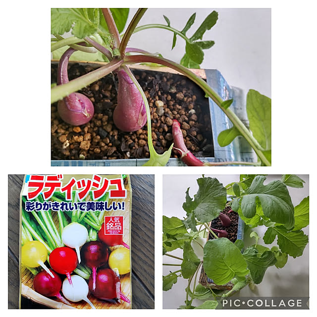 ampinさんの実例写真