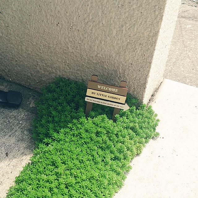 akimamaさんの実例写真