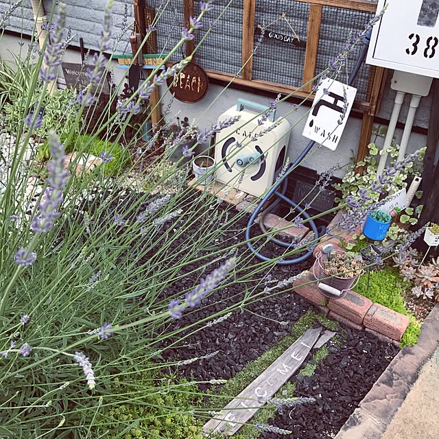 hirari38さんの実例写真