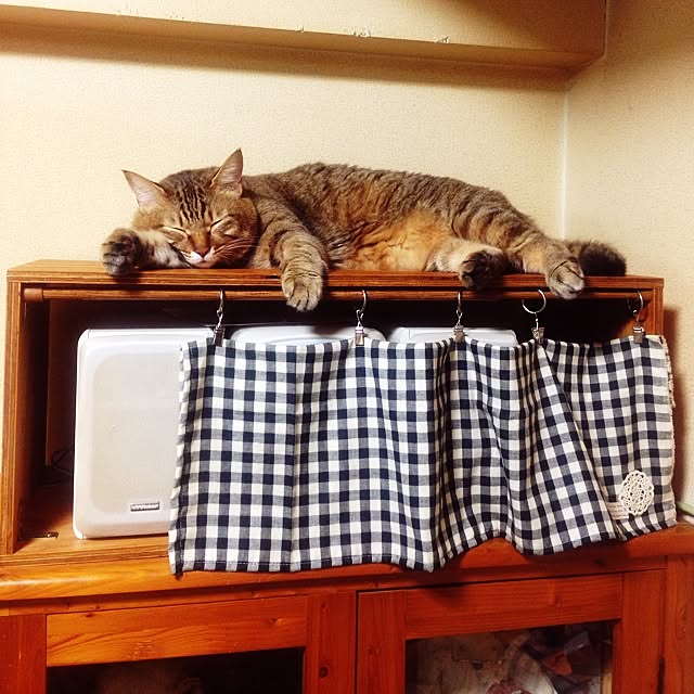 hikaさんの実例写真