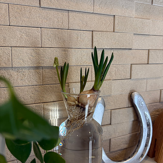 kojimasaさんの実例写真