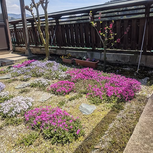 kuririnmamaさんの部屋