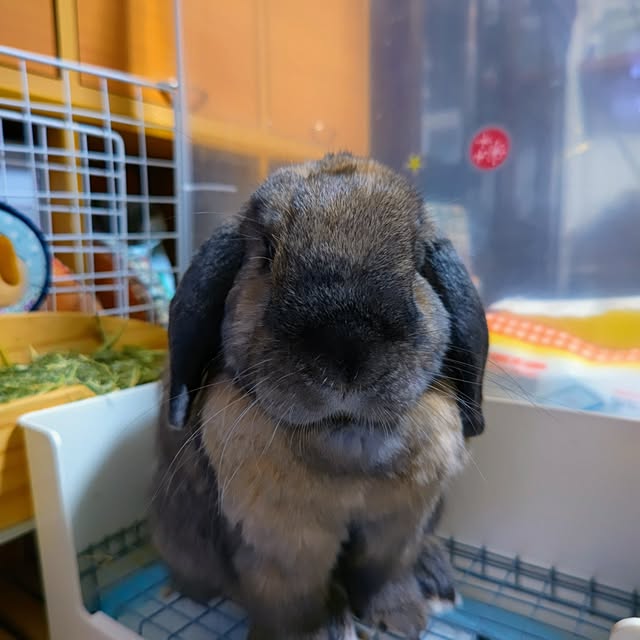 mariaさんの実例写真