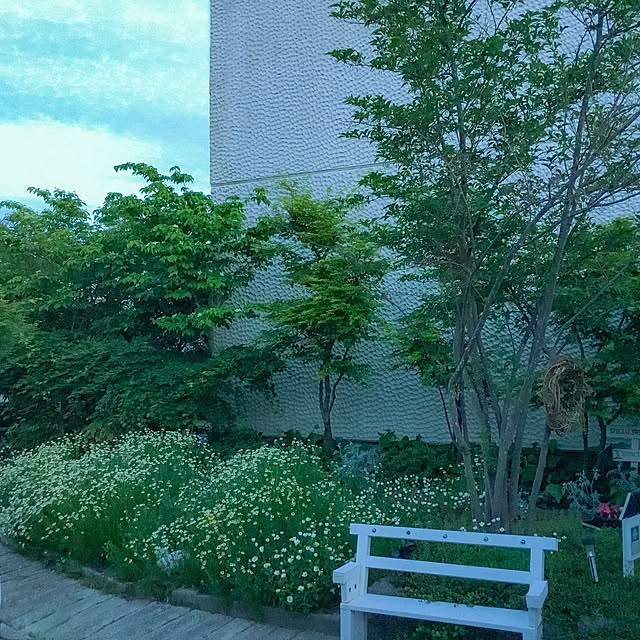 marrymisuzuさんの実例写真