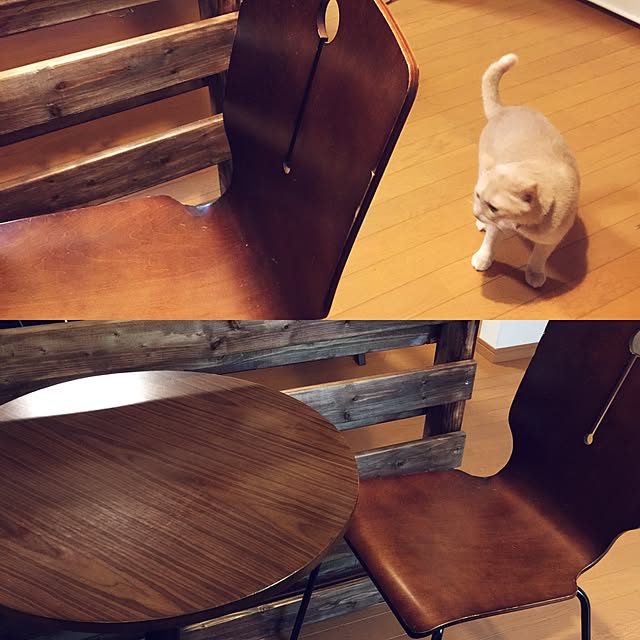 mikan161さんの実例写真