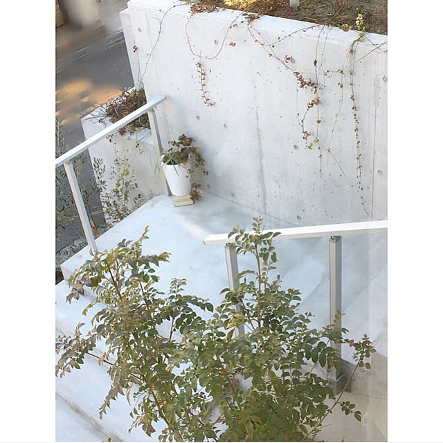 hanatomidorinoheyaさんの実例写真