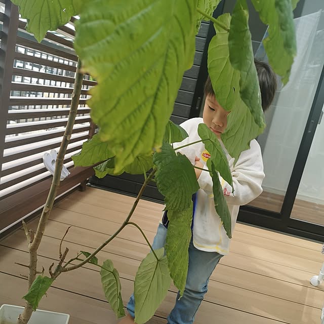 ryrk.inteさんの実例写真