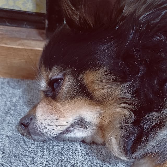 hiro.904さんの部屋