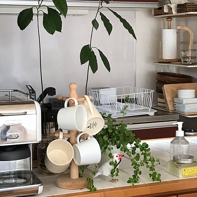 sacrasakuさんの実例写真