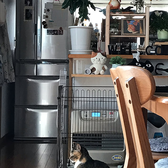 daikichiさんの実例写真
