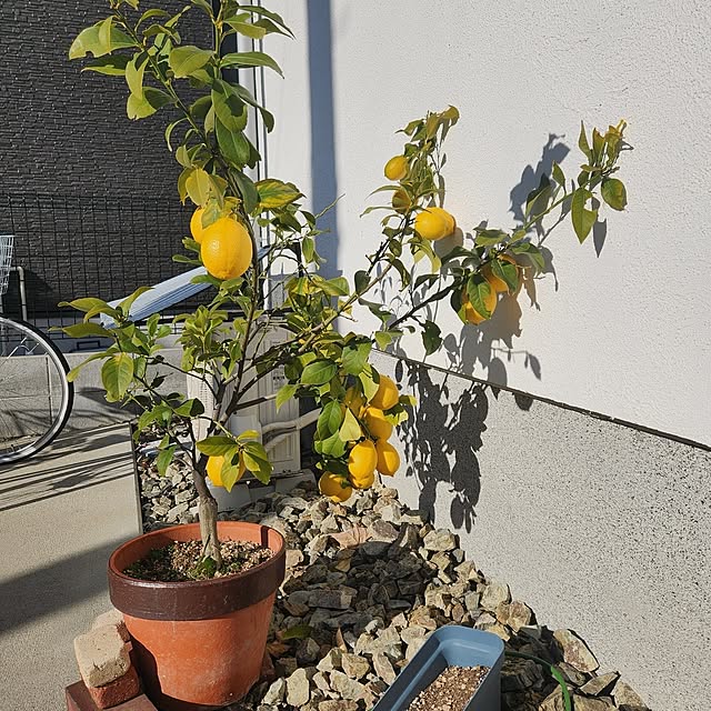 Takuyaさんの部屋