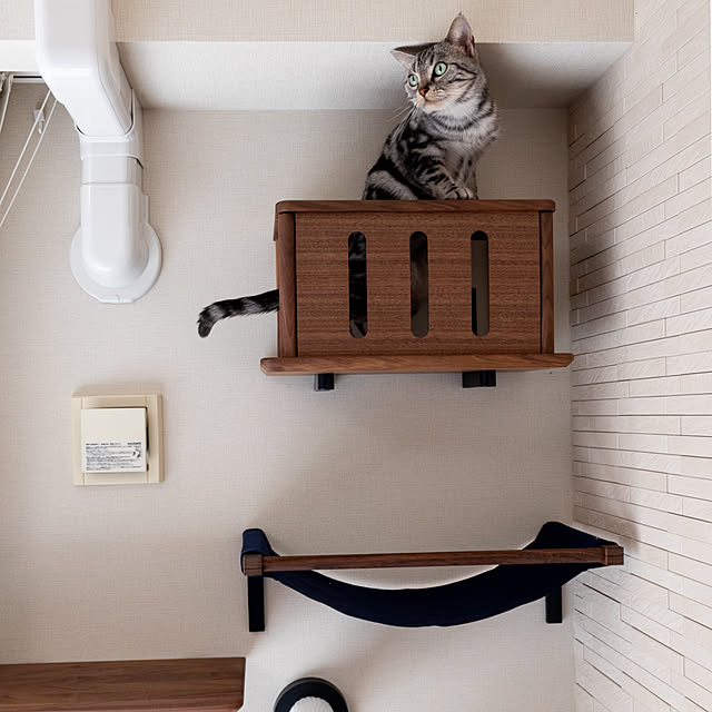 Yuki_with_a_tailさんの部屋