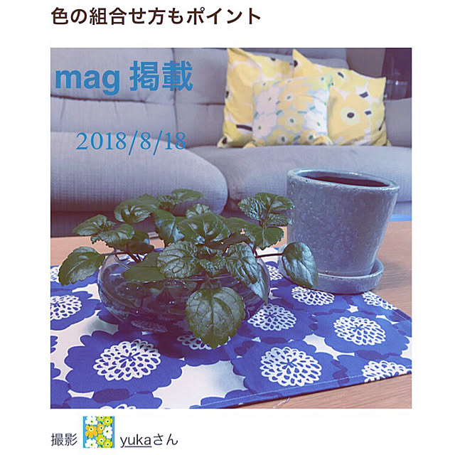 yukaさんの実例写真