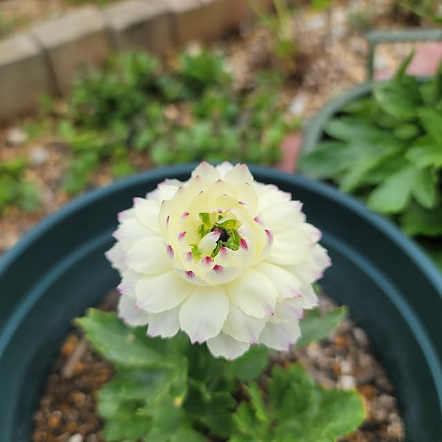 VIORAさんの部屋