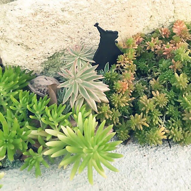 chisさんの実例写真