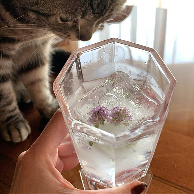 nopezさんの実例写真