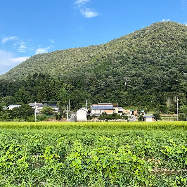 cotaさんの実例写真