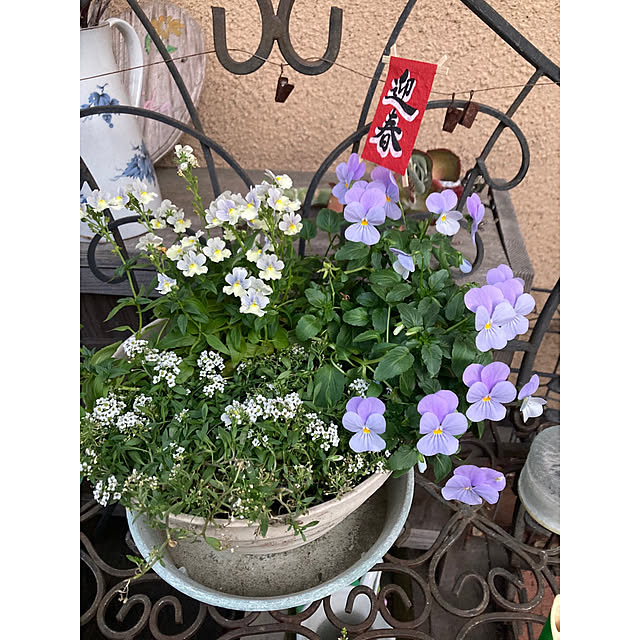 amiromikaさんの部屋