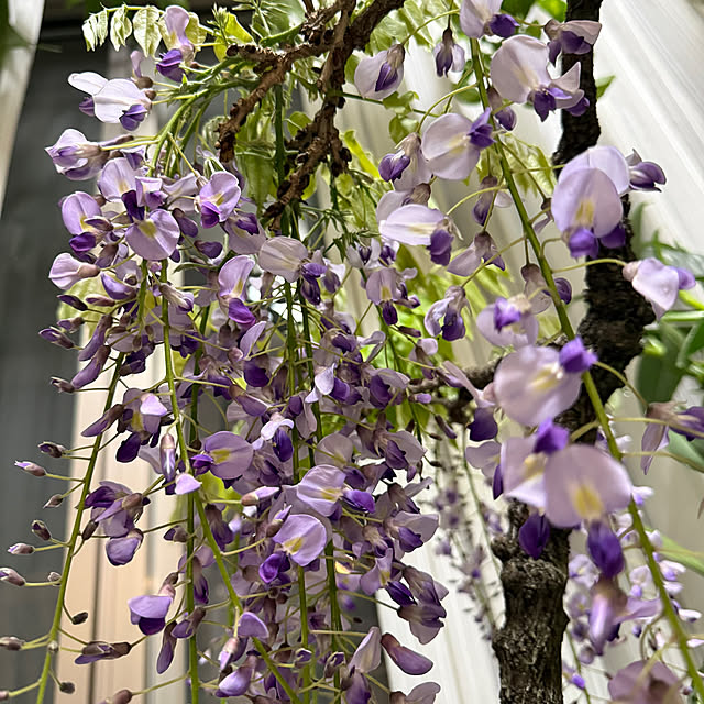 Aqettyさんの部屋