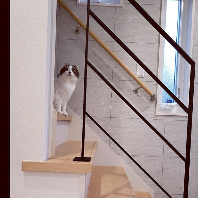 jejeさんの実例写真