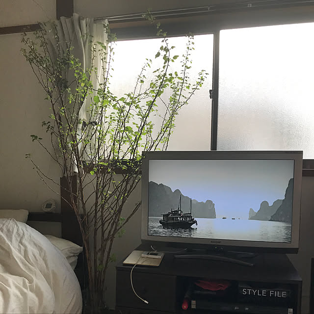 tmmさんの実例写真