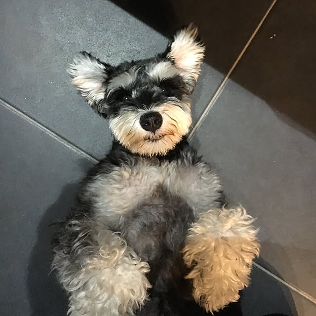 littletree1107さんの実例写真