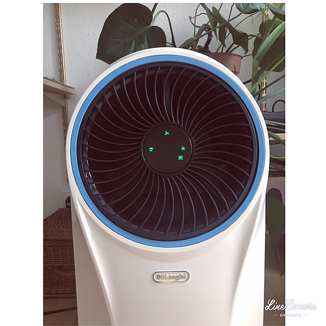 デロンギ/扇風機・サーキュレーター/ドイツ生活/リビングのインテリア実例 - 2020-08-16 23:55:32