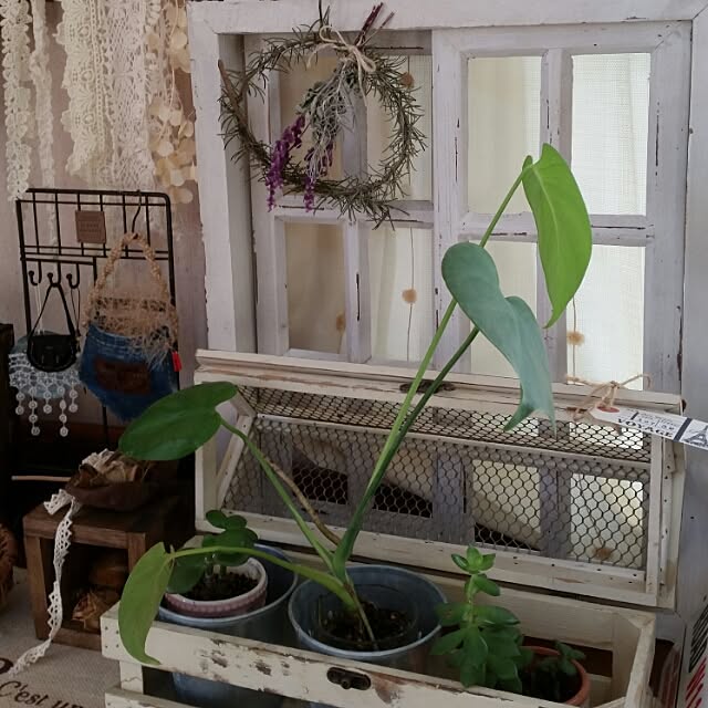 hitomiさんの実例写真