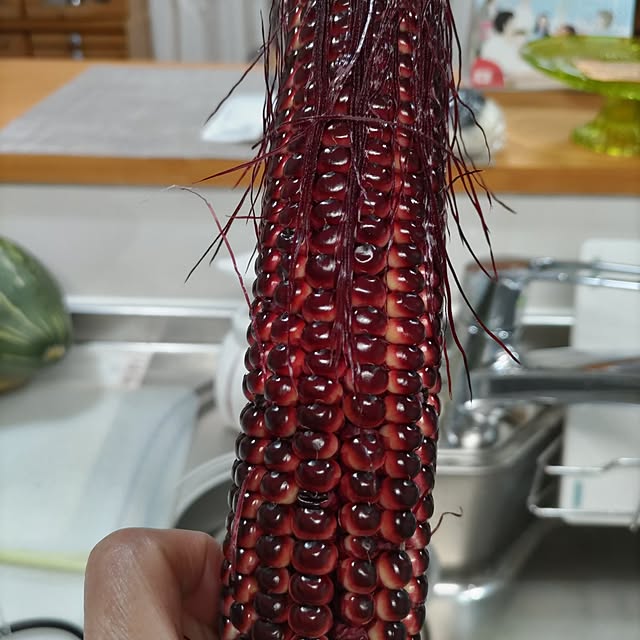 salacocoさんの実例写真