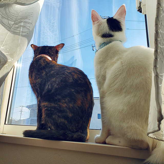 Rinさんの実例写真